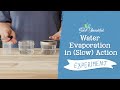 Water Evaporation Experiment Quiz