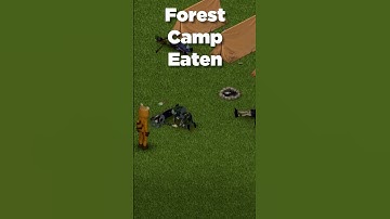 Rare Occurences/Events in Project Zomboid