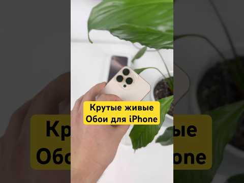 Как сделать вот
