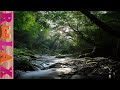 【お腹痛いのを和らげる具合悪い時に聴く曲】セラピーリラックスMV|Original Therapy Relax Music Video #195