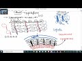 Cell wall and Cell membrane part Part 1 | Prokaryotes | Eukaryotes | Archaea