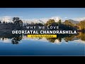 Why we love the deoriatal chandrashila trek  a tribute by indiahikes
