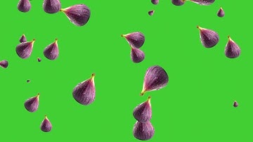 Fig Fruit Falling on Green Screen Background | HD | FREE DOWNLOAD