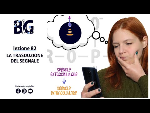 Video: In che modo i secondi messaggeri amplificano il segnale?