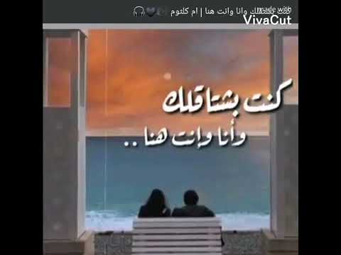كنت بشتاقلك وانا وانت هنا أم كلثوم حالات واتس