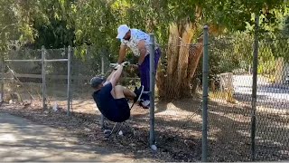 Bobby Fairways #7 - Cold Cuts Plays It As It Lays