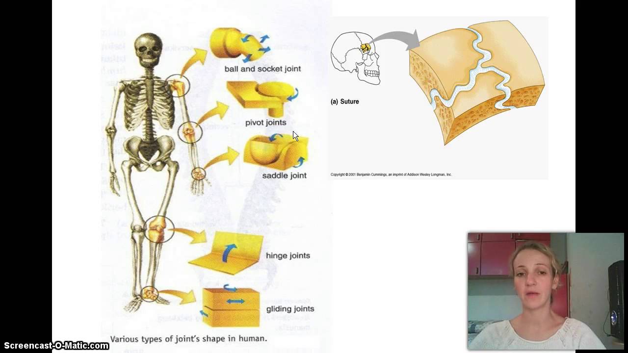 Izokrenuta učionica - Skelet
