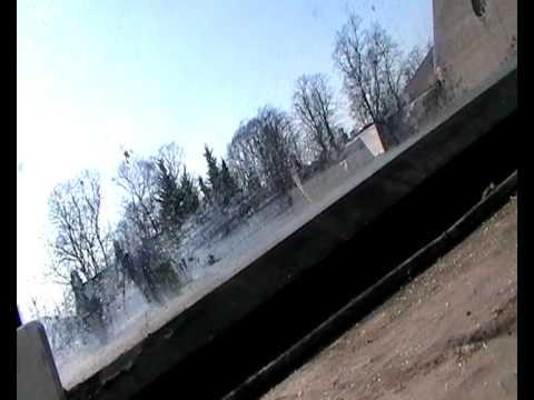 First Queen Wasp Of The Year 7th March 2011