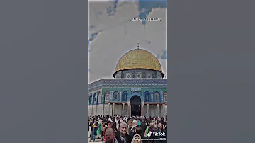 پرچم طالبان در فلسطین د طالبانو بیرغ فلسطین کې فلسطين طالبان افغانستان امارت اسلامي افغانستان 
