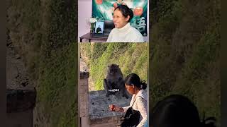 iPhone ke liye do lagte hain 🐒📱 #funnyanimals #monkeymeme #animalcomedy #viralshorts #desidubbing