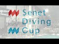 Senet Diving Cup 2017, Girls A 3m