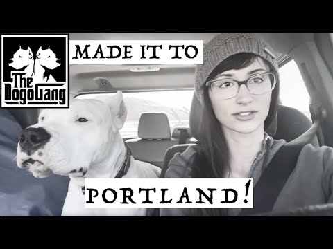 Video: Le migliori gite di un giorno da fare da Portland, Oregon