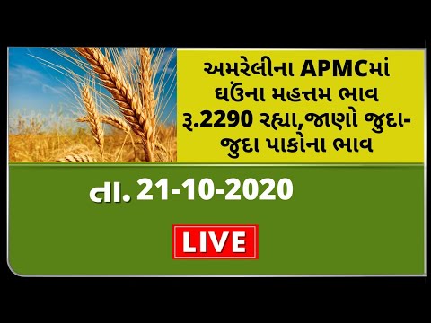 ગુજરાતની બધી જ APMCના તા.21-10-2020 દરેક પાકના ભાવ LIVE । TV9 NEWS