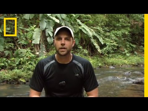 Bus2Antarctica: Corcovado National Park | National Geographic