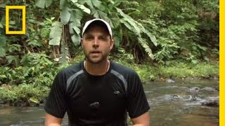 Bus2Antarctica: Corcovado National Park | National Geographic