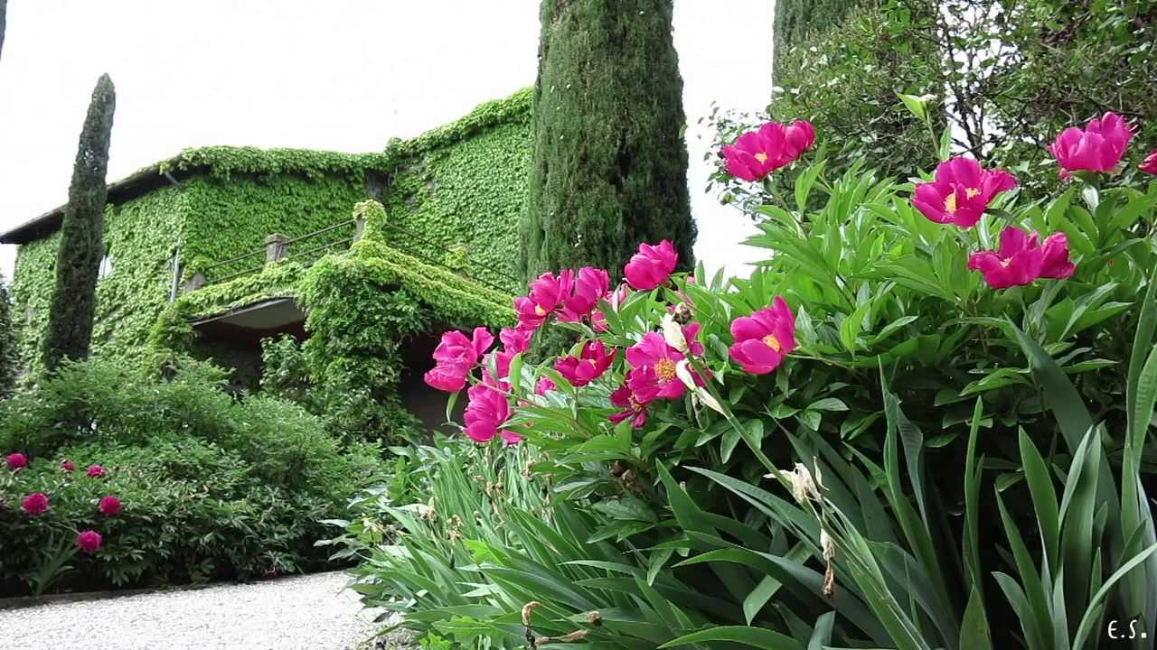 Parco delle peonie a Vitorchiano (centro botanico moutan)