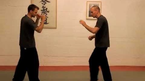 Gao Style Bagua 1st Line Houtian Applications