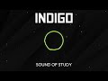 🎧 Indigo | Audio Summary | Class 12 English | Chaptune