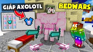 Minecraft Bedwars, Sở Hữu Giáp Axolotl Siêu VIP Và Tiêu Diệt Noob * KHANGG TROLL NOOB TEAM MINECRAFT