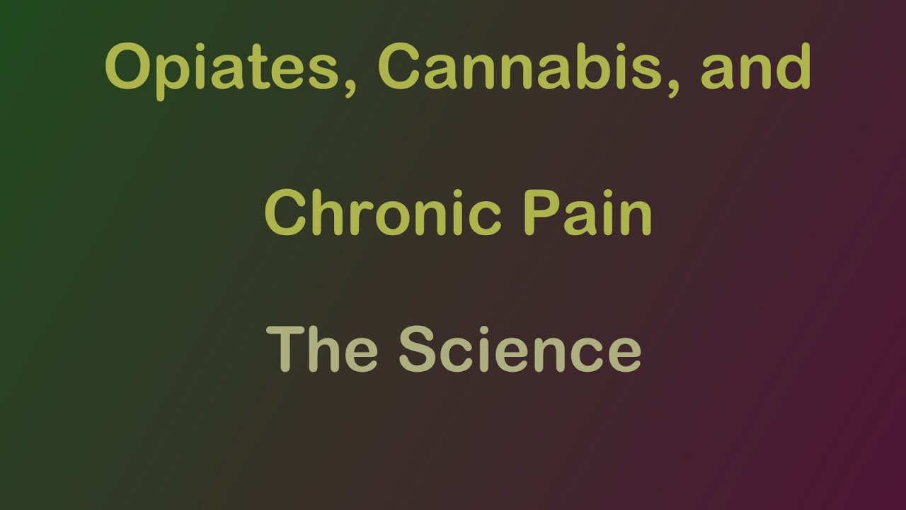Opiates, Cannabis, and Pain : Some Preliminary Science