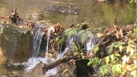 A Hike to Upper Mitchell Pond in Moose River Plains Wild Forest