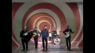 Video thumbnail of "The Byrds - Turn, Turn, Turn"