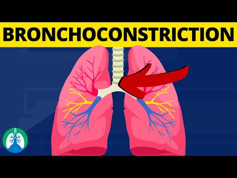 Bronchoconstriction (Medical Definition) | Quick Explainer Video