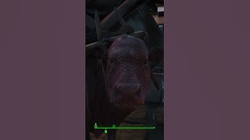 Well hello... - Fallout 4 #shorts #funny #fallout