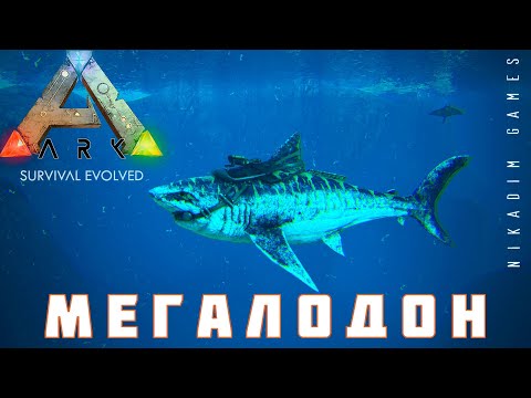 Видео: 🦕 ARK: SURVIVAL EVOLVED МЕГАЛОДОН [прохождение] #17