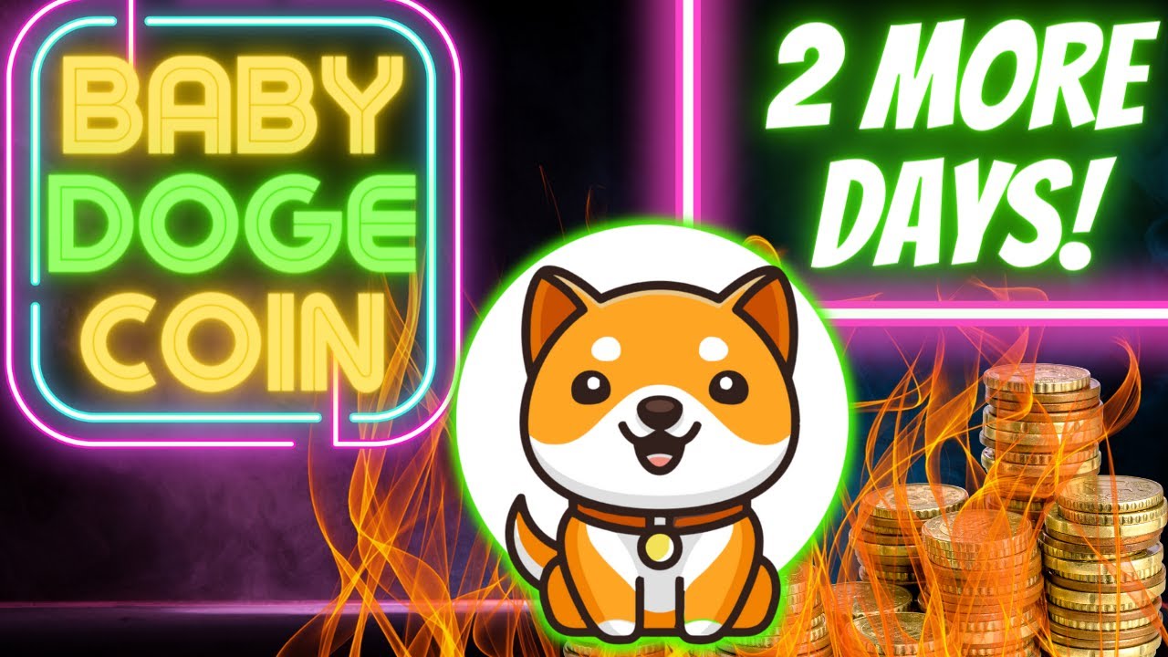Is BABY DOGE COIN About To Pump After This?