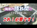 梅雨の屋外飼育の場合、晴れの合間にすることがあります！それはこれです(^^♪