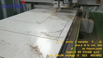 Auto Loading unloading ATC Double Spindle CNC Router with Boring Head