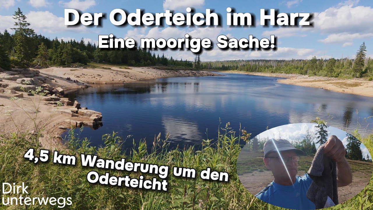 Der Oderteich im Harz: Spannende 4,5 km lange Wanderung um den Oderteich