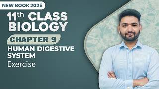 11th Class Biology Chapter 9 | Exercise | Class 11th New Book 2025