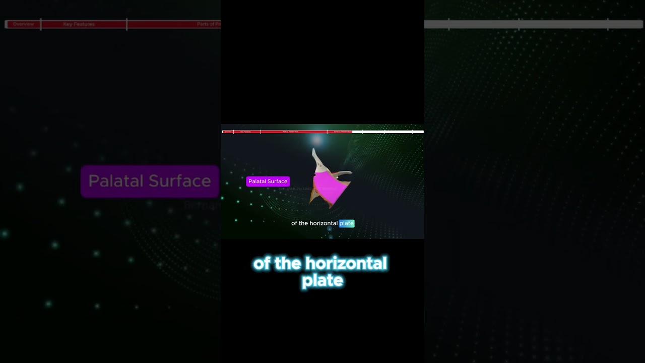 The Orbital Surface: A key area of Palatine Bone