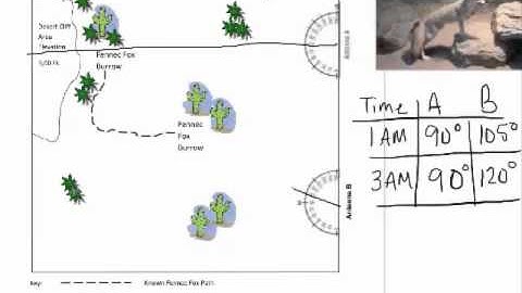 Monitoring Animals -Triangulation