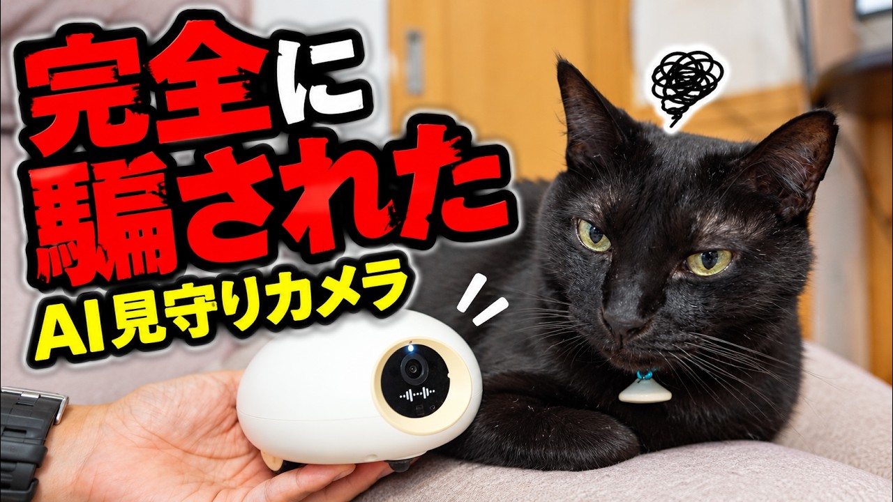【削除覚悟】猫を自動で追いかけるAI見守りカメラを買った結果…