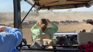 Thousands of Wildebeest Charge Across River in Unbelievable View