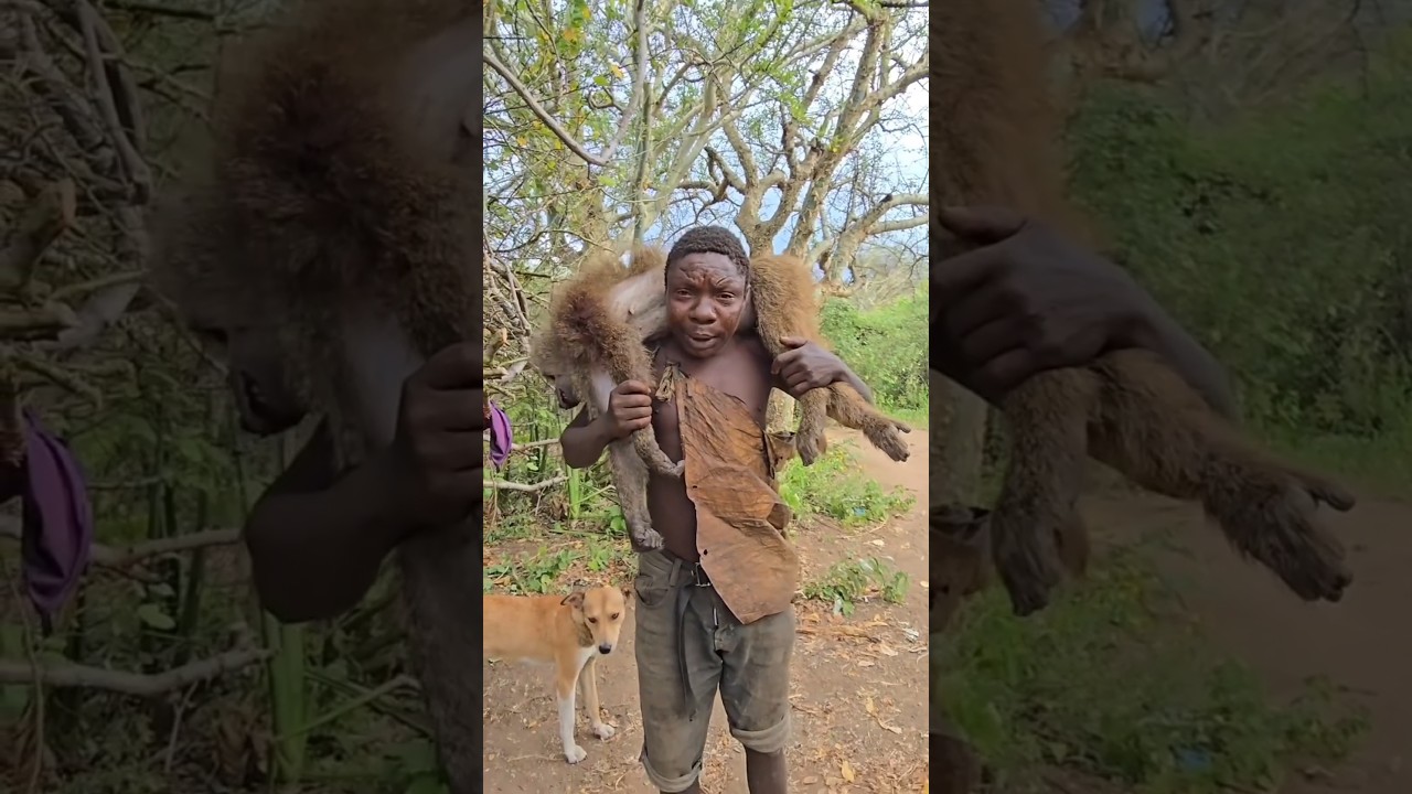 Chaaba’s hunt that surprised the entire tribe 