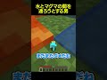 水とマグマの隙間を通ろうとする男 #shorts #マイクラ