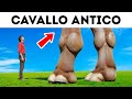 Fatti Rari sugli Animali che Non Hai Ancora Scoperto