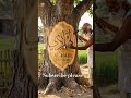 Al Hadi#real craft studio #craftman#ai#shorts #youtube #crafted reality # wood