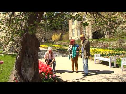 Video: Das Klassische Viertel Im Botanischen Garten
