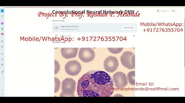 Type of Blood Cell Detection Using CNN Neural Network | Blood Cell Type Detection Using Python Code