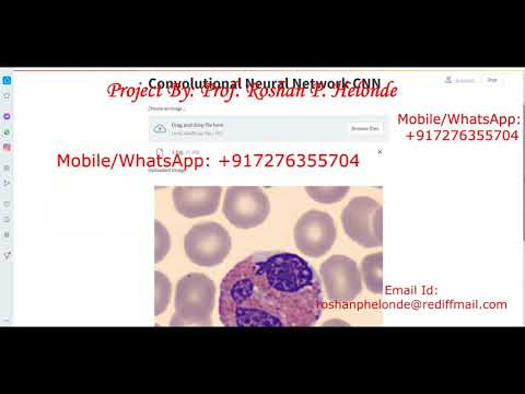 Type of Blood Cell Detection Using CNN Neural Network | Blood Cell Type Detection Using Python Code