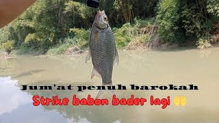 JUM'AT PENUH BAROKAH....BERBAGI IKAN HASIL MANCING MESKI MENTAHAN....🤭