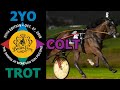 2018 Breeders Crown - Gimpanzee - 2YO Colt Trot