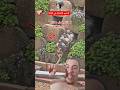سبحان الله