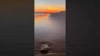 True Colors. 🌅 #shorts
Low tide and breathtaking colors. A moment of pure visual solitude.
#shorts #truecolors #cinematicbroll #algarvereset #sunsetvibes #lowtide True Colors. 🌅 #shorts