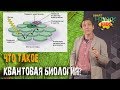 Что такое квантовая биология? Лекция Филипа Болла.